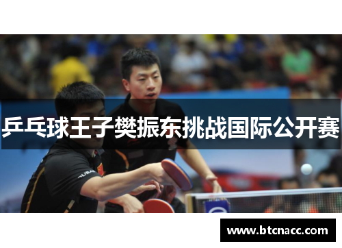 乒乓球王子樊振东挑战国际公开赛